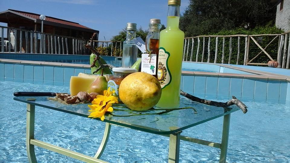 Agriturismo Castanito Vico Equense Buitenkant foto