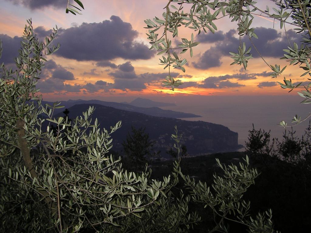 Agriturismo Castanito Vico Equense Buitenkant foto